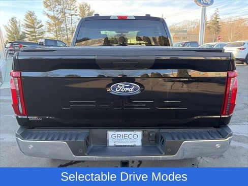 Used 2025 Ford F150 XLT w/ Equipment Group 301A Standard image 6