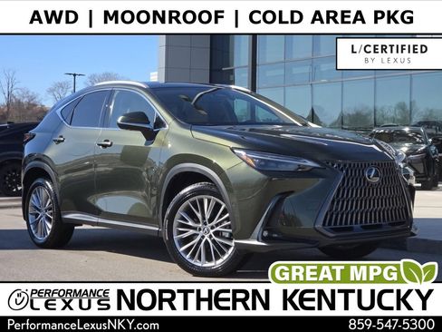 Certified 2025 Lexus NX 300h AWD w/ Cold Area Package image 1