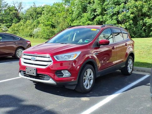 Used 2019 Ford Escape SEL AWD/4WD image 2