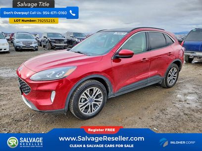 Used 2020 Ford Escape SEL
