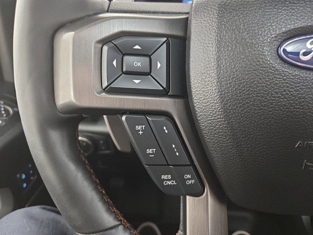 Used 2017 Ford F150 Raptor w/ Equipment Group 802A Luxury AWD/4WD image 13