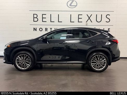 Used 2025 Lexus NX 350h AWD w/ Accessory Package (2T) image 7