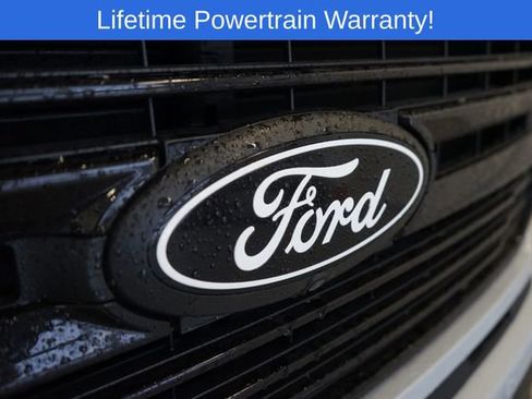 New 2025 Ford F150 Platinum image 18