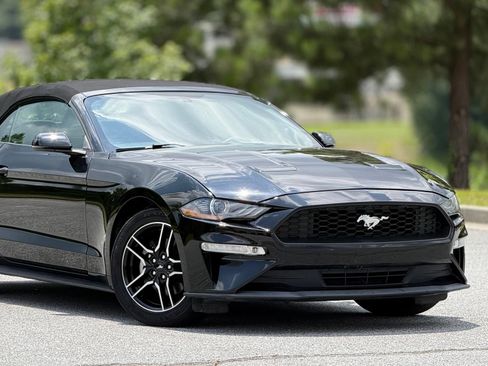 Used 2019 Ford Mustang Premium RWD image 43