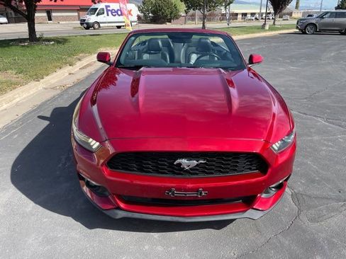 Used 2016 Ford Mustang Premium w/ Ecoboost Performance Package RWD image 3