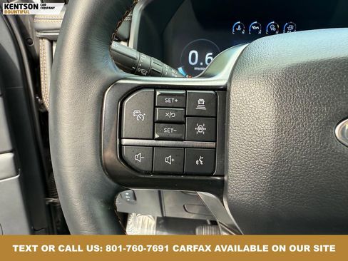Used 2024 Ford Expedition Platinum image 20
