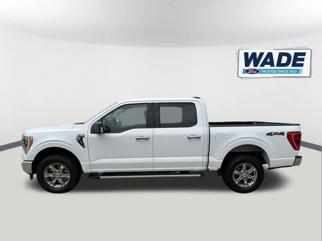 Used 2023 Ford F150 XLT w/ Equipment Group 302A High AWD/4WD image 8
