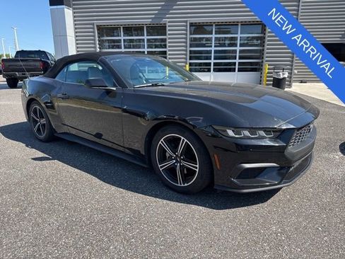 Used 2024 Ford Mustang Premium RWD image 1