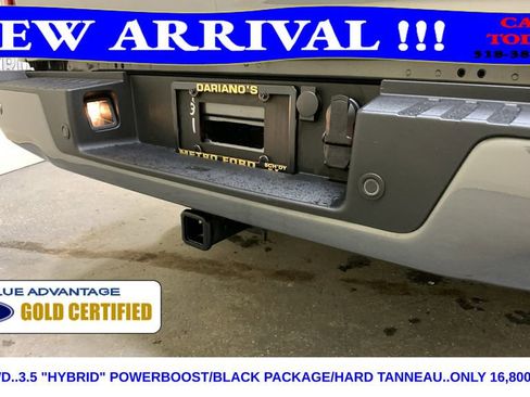 Certified 2025 Ford F150 XLT w/ Equipment Group 301A Standard image 19