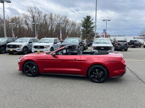 Used 2023 Ford Mustang Premium w/ Equipment Group 201A image 35