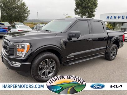 Used 2023 Ford F150 XLT w/ Equipment Group 302A High