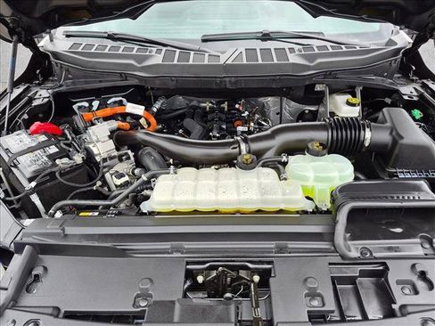 Used 2025 Ford F150 XLT w/ Equipment Group 301A Standard AWD/4WD image 22