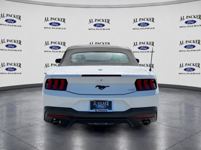 New 2026 Ford Mustang Convertible w/ Mustang Nite Pony Package RWD image 8