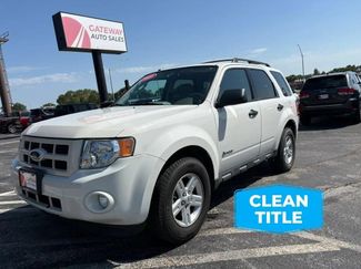 Used 2009 Ford Escape Limited FWD video 1
