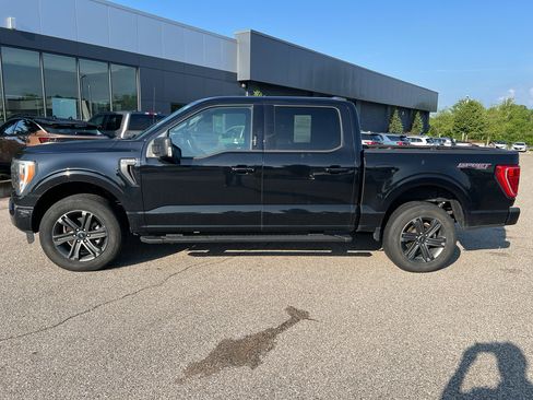 Used 2023 Ford F150 XLT w/ Equipment Group 302A High AWD/4WD image 4