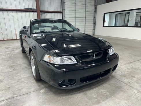 Used 2003 Ford Mustang Cobra RWD image 6