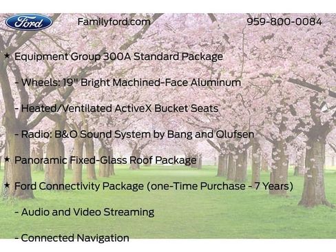 New 2026 Ford Mustang Mach-E Premium image 10