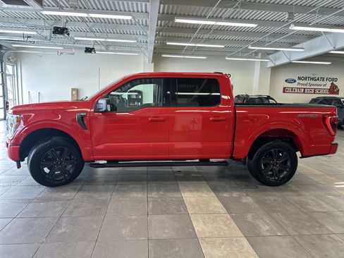 Used 2023 Ford F150 XLT w/ Equipment Group 302A High image 19