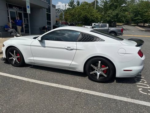 Used 2019 Ford Mustang Coupe w/ Equipment Group 101A RWD image 12
