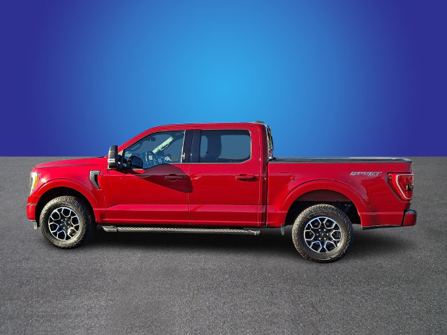 Used 2021 Ford F150 XLT w/ Equipment Group 302A High AWD/4WD image 7