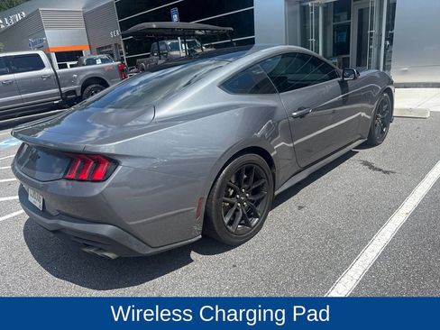 Used 2024 Ford Mustang GT Premium w/ Mustang Nite Pony Package RWD image 5