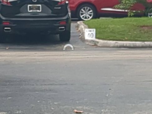 New 2026 Acura Integra A-Spec image 8