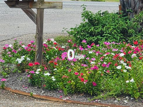 Used 2024 MAZDA CX-5 Carbon Edition image 17