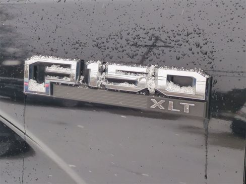 Used 2019 Ford F150 XLT w/ Equipment Group 302A Luxury image 13