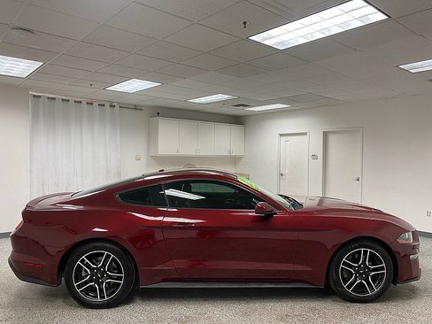 Used 2019 Ford Mustang Premium w/ Equipment Group 201A image 4