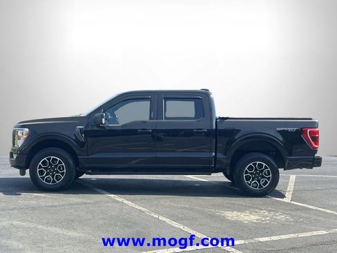 Certified 2023 Ford F150 XLT w/ Equipment Group 302A High image 23