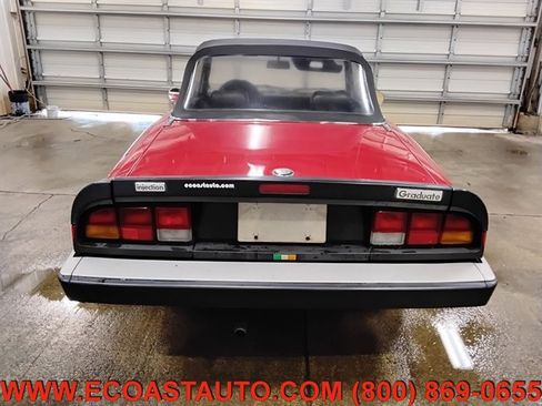 Used 1986 Alfa Romeo Spider Veloce image 8