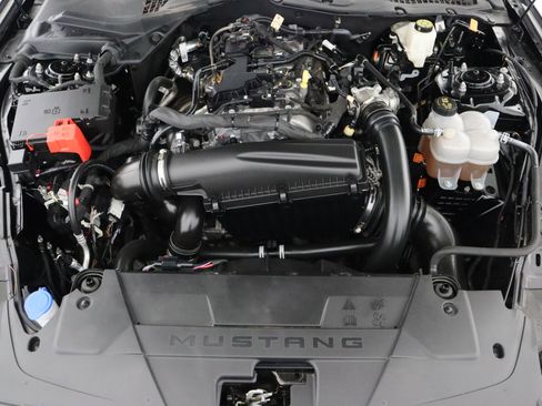 Used 2024 Ford Mustang Premium w/ Mustang Nite Pony Package RWD image 30