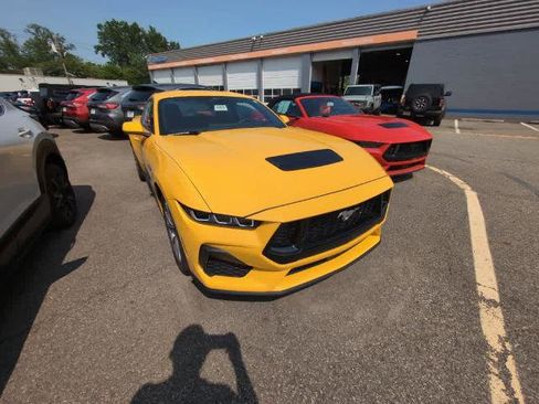 Certified 2024 Ford Mustang GT Premium image 1