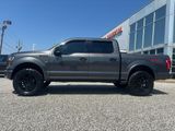 Used 2016 Ford F150 Platinum w/ Equipment Group 701A Luxury image 3