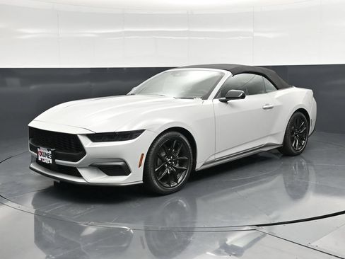 New 2026 Ford Mustang Convertible w/ Mustang Nite Pony Package RWD image 5