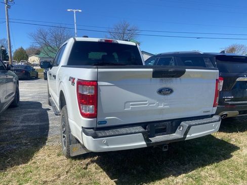 Used 2023 Ford F150 XL w/ STX Appearance Package AWD/4WD image 4