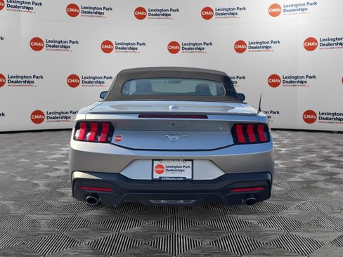 Used 2025 Ford Mustang Premium image 6