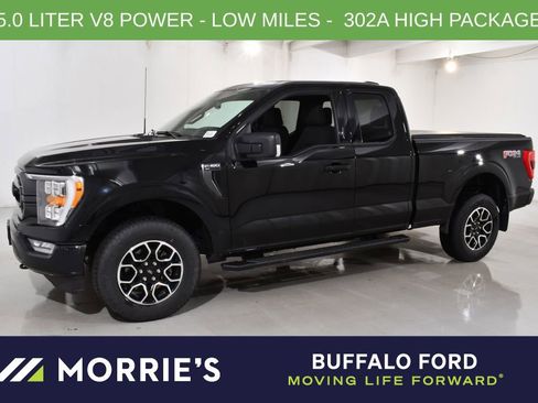 Used 2023 Ford F150 XLT w/ Equipment Group 302A High AWD/4WD image 1