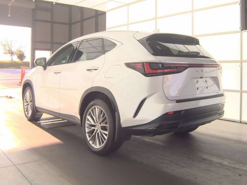 Used 2025 Lexus NX 350h AWD w/ Rear Seat Package image 4