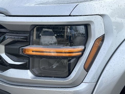 New 2025 Ford F150 XLT w/ Equipment Group 303A High image 6