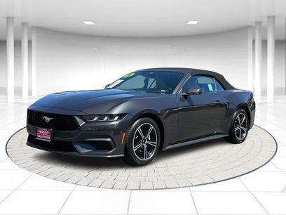 Used 2024 Ford Mustang Premium