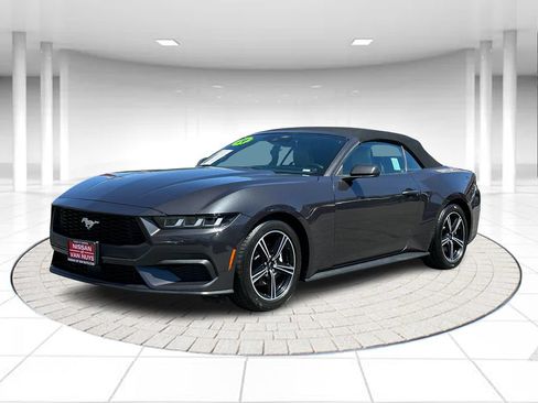 Used 2024 Ford Mustang Premium RWD image 1