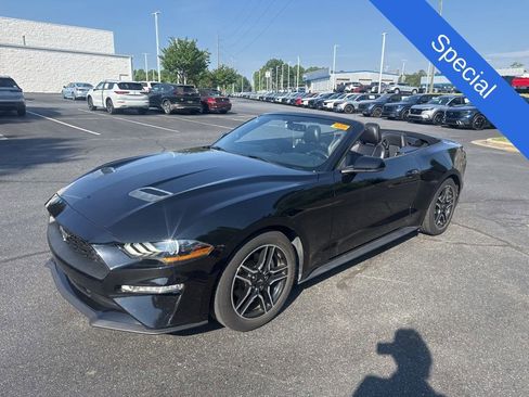 Used 2020 Ford Mustang Premium RWD image 3