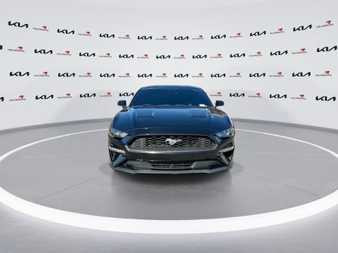 Used 2019 Ford Mustang Coupe w/ Equipment Group 101A image 3