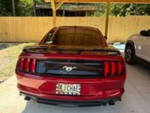Used 2022 Ford Mustang Coupe w/ Equipment Group 101A RWD image 2