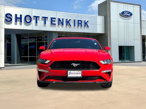 Used 2019 Ford Mustang Convertible RWD image 2