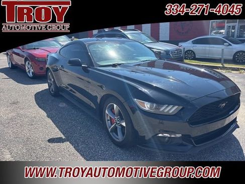 Used 2016 Ford Mustang Premium w/ Equipment Group 201A image 4