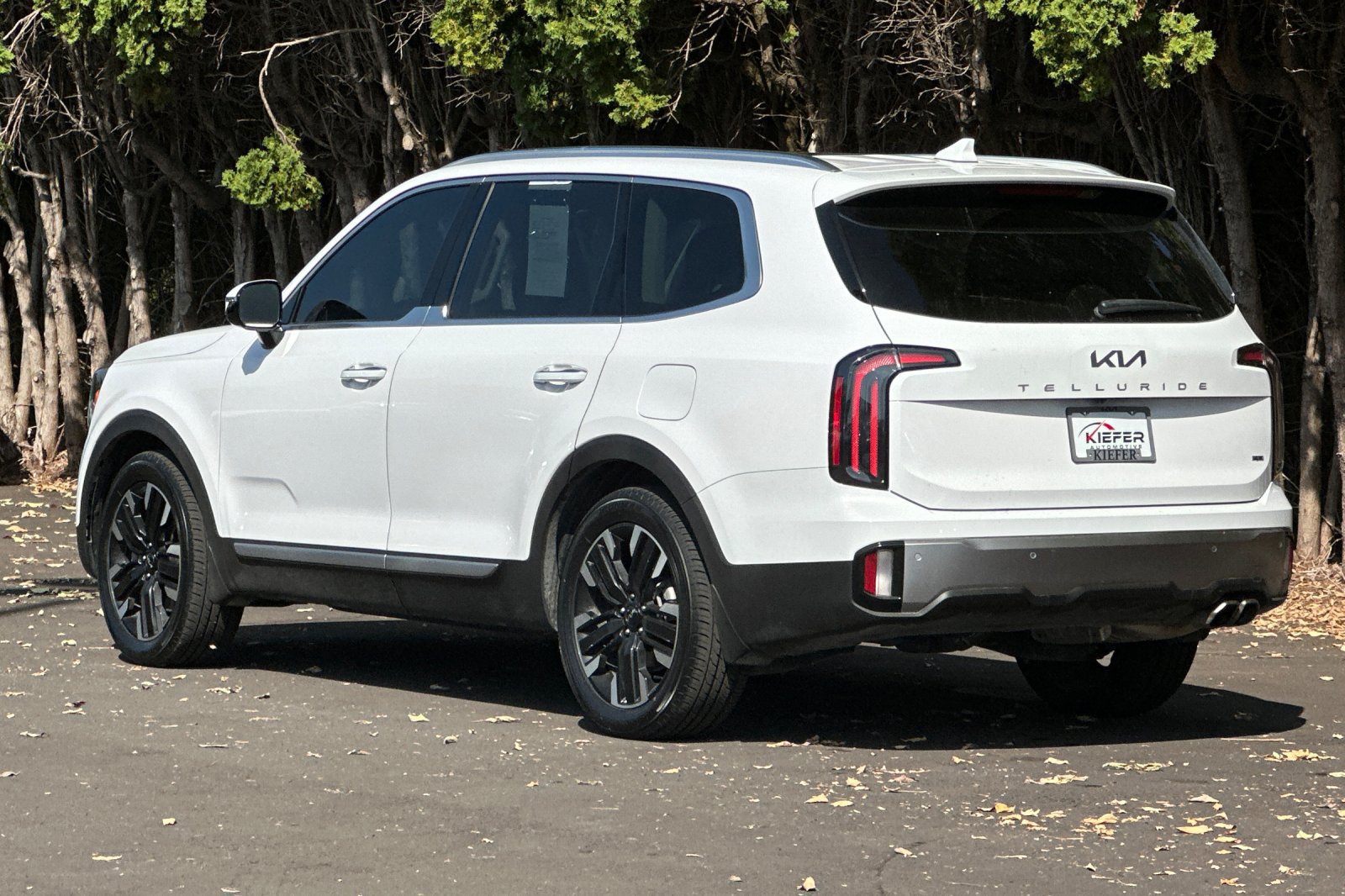 Certified 2025 Kia Telluride SX Prestige AWD/4WD image 6