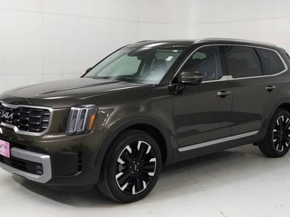 Certified 2024 Kia Telluride SX