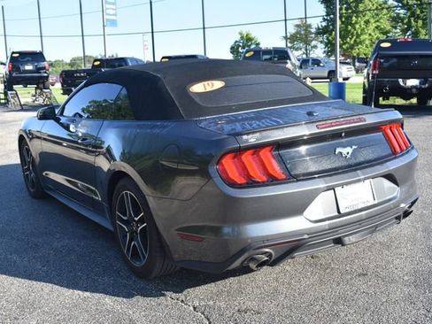 Used 2019 Ford Mustang Premium RWD image 5